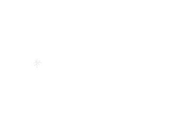 Centric.png